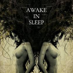 Awake In Sleep : Awake in Sleep